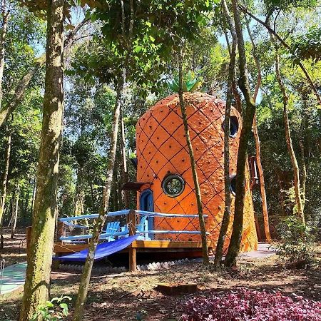 Casa Abacaxi, Vila Magica Bueno Brandão Esterno foto